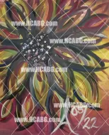 Colorful Flower Fractal