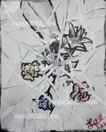 Shattered Mirror of Flowers