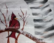 Winter Cardinal